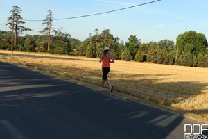 Original 2000 px/ 1331 px