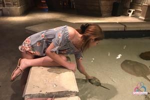 Original 3000 px/ 2000 px