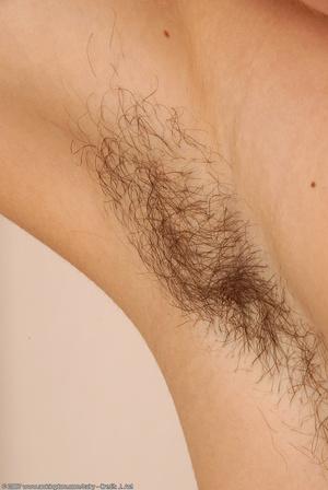 Original 685 px/ 1024 px