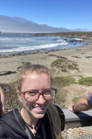 Original 2000 px/ 3000 px