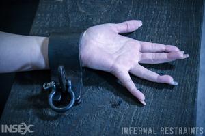 Original 1200 px/ 795 px