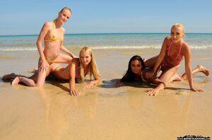 Original 3000 px/ 1992 px