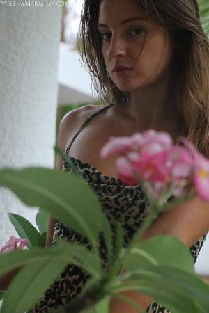 Original 1000 px/ 1500 px