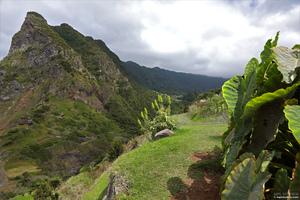 Original 4000 px/ 2667 px