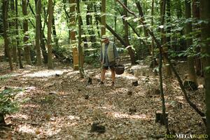 #TeenMegaWorld Lovita Fate - Mushroom hunter picks up blonde pussy