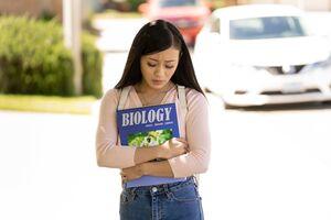 Original 2700 px/ 1800 px