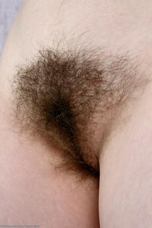 Original 1027 px/ 1536 px