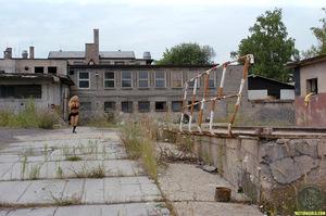 Original 1024 px/ 678 px