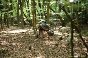 Original 3500 px/ 2333 px