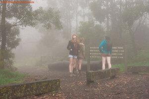 Original 1472 px/ 981 px