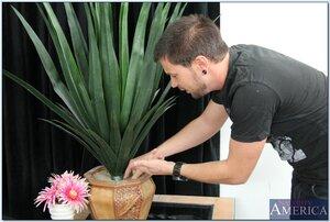 Original 850 px/ 571 px