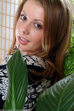 Original 684 px/ 1024 px