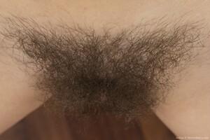 Original 3000 px/ 2000 px