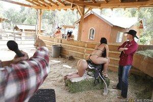 Original 1300 px/ 867 px