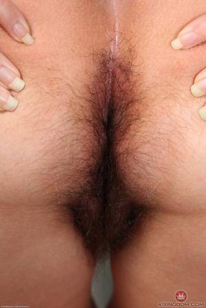 Original 854 px/ 1280 px