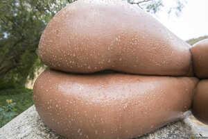 Original 2495 px/ 1663 px