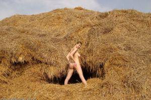 Original 1024 px/ 682 px