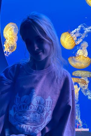 Original 3333 px/ 5000 px