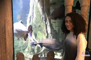 Original 3000 px/ 2000 px