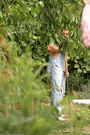 Original 1024 px/ 1536 px