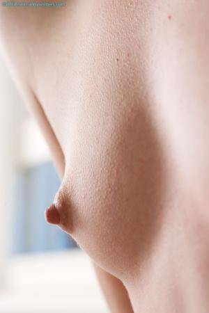 Original 981 px/ 1472 px