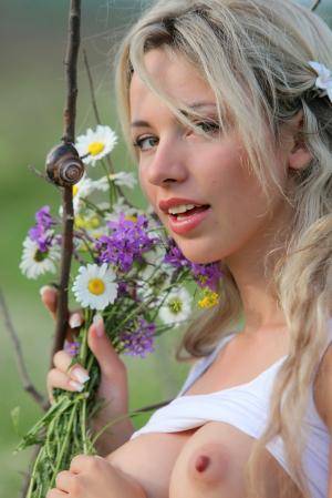 Original 854 px/ 1280 px