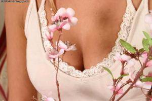 Original 1024 px/ 682 px