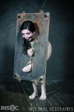 Original 795 px/ 1200 px