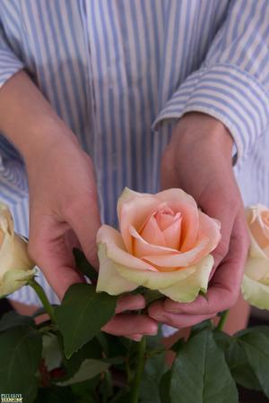 Original 3456 px/ 5184 px