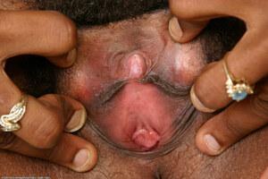 Original 1536 px/ 1024 px