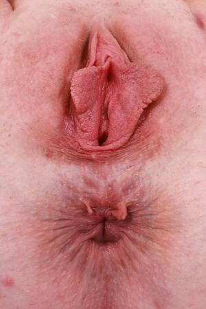 Original 2731 px/ 4096 px