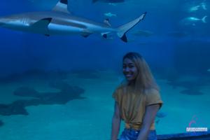 Original 3000 px/ 2000 px