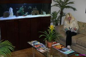 Original 1200 px/ 797 px