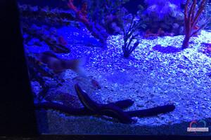 Original 3000 px/ 2000 px