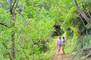 Original 4928 px/ 3280 px