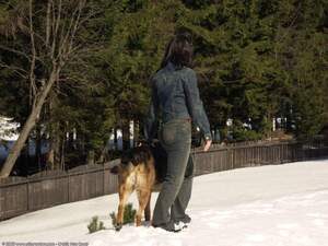 Original 1600 px/ 1200 px