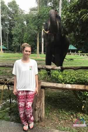 Original 2000 px/ 3000 px