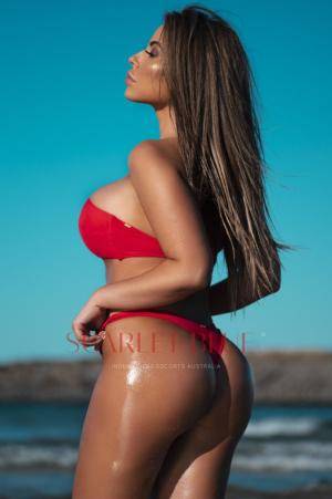 Original 665 px/ 1000 px