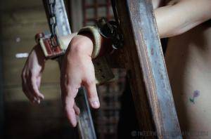 Original 1200 px/ 795 px