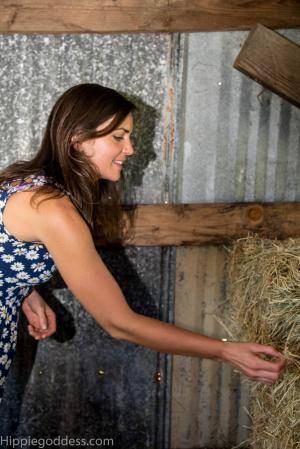 Original 1469 px/ 2200 px