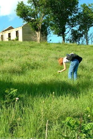 Original 645 px/ 960 px