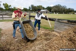 Original 800 px/ 533 px