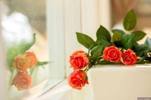 Original 3000 px/ 2000 px