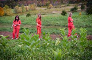 Original 1200 px/ 795 px