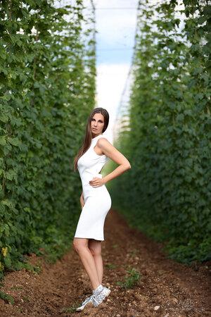 Original 3456 px/ 5184 px