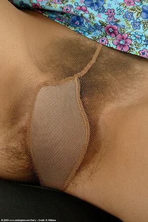 Original 684 px/ 1024 px