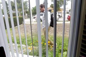 Original 5477 px/ 3651 px