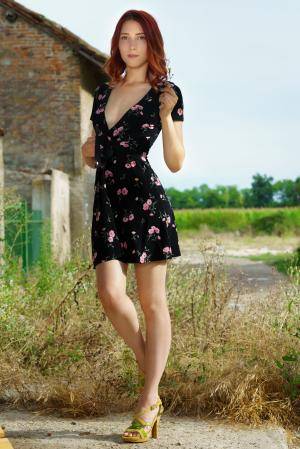 Original 5304 px/ 7952 px