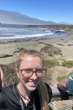 Original 2000 px/ 3000 px