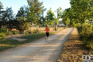 Original 2000 px/ 1331 px